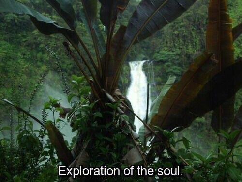 Transforming Your Pain Into&nbsp;Passion