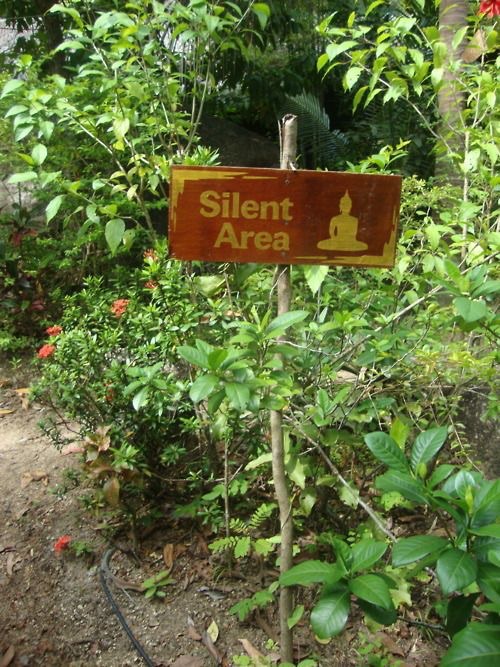 Navigating Anxiety and Finding Calm in&nbsp;Chaos