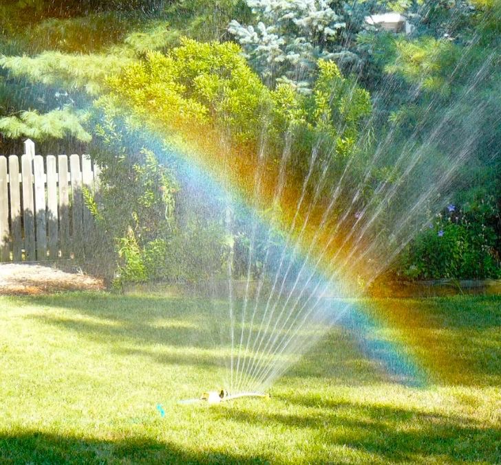 The Painful Sweetness of&nbsp;Nostalgia