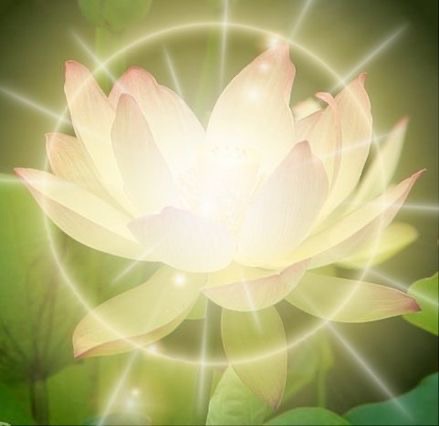 Self-Awareness Shouldn’t Mean Shrinking&nbsp;Yourself